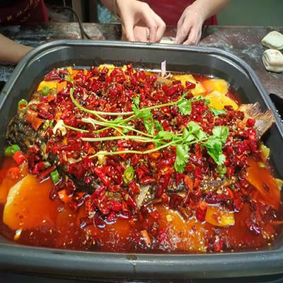 哪里可以學(xué)習(xí)香辣烤魚技術(shù)培訓(xùn)？
